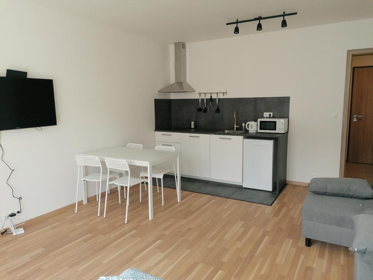 Brand New Studio Apartment #51 With Free Secure Parking In The Center Прага Экстерьер фото